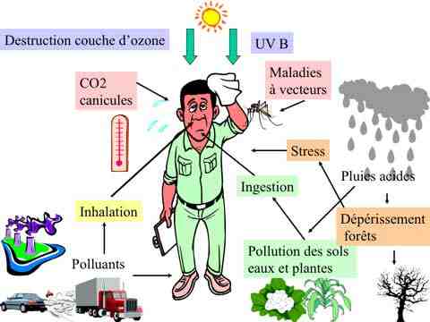 Quelles sont les causes de la pollution environnementale?