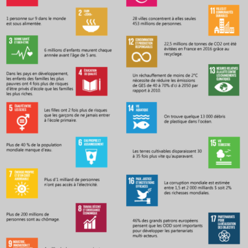 Quels sont les enjeux du développement durable dans le monde ?